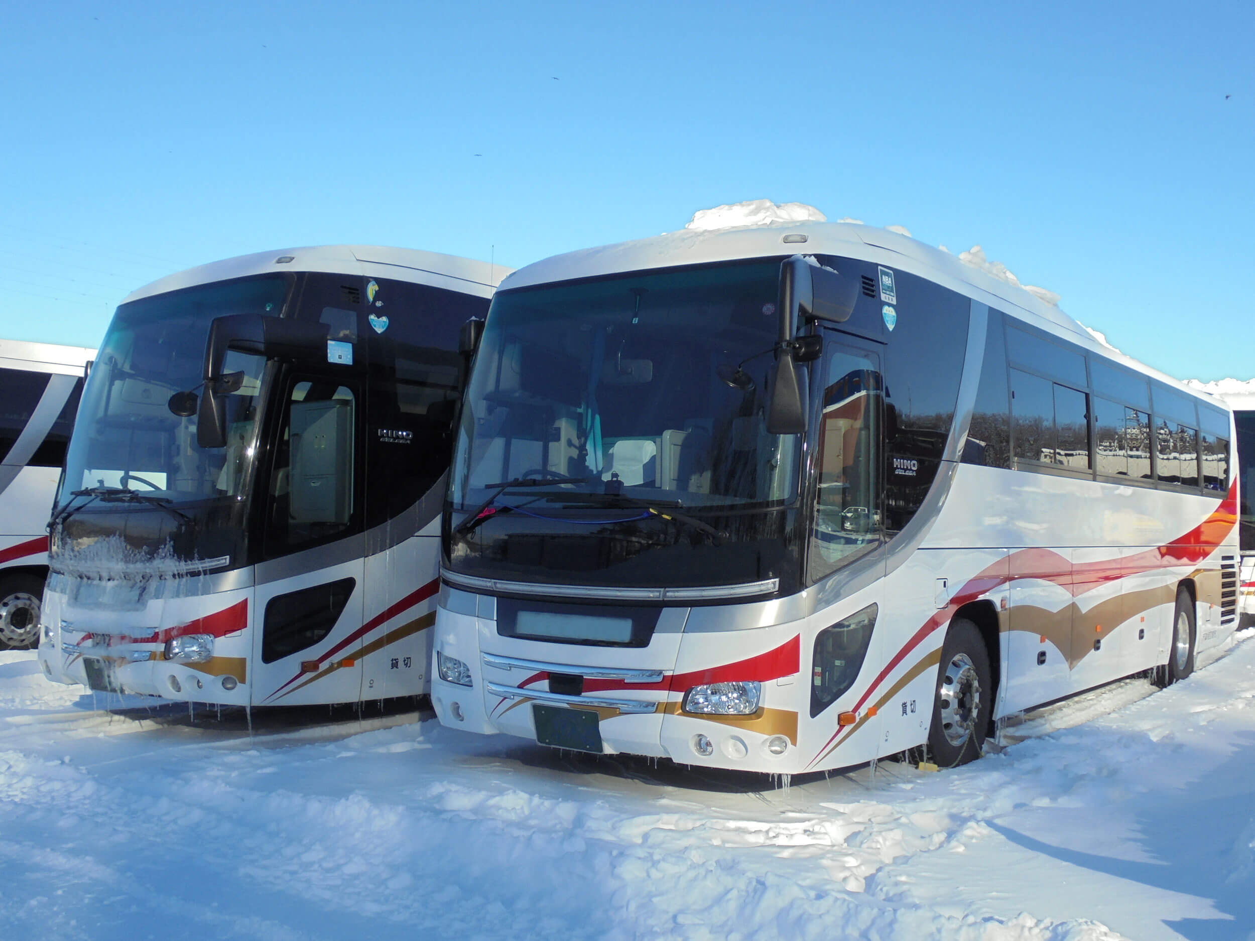 White Liner bus